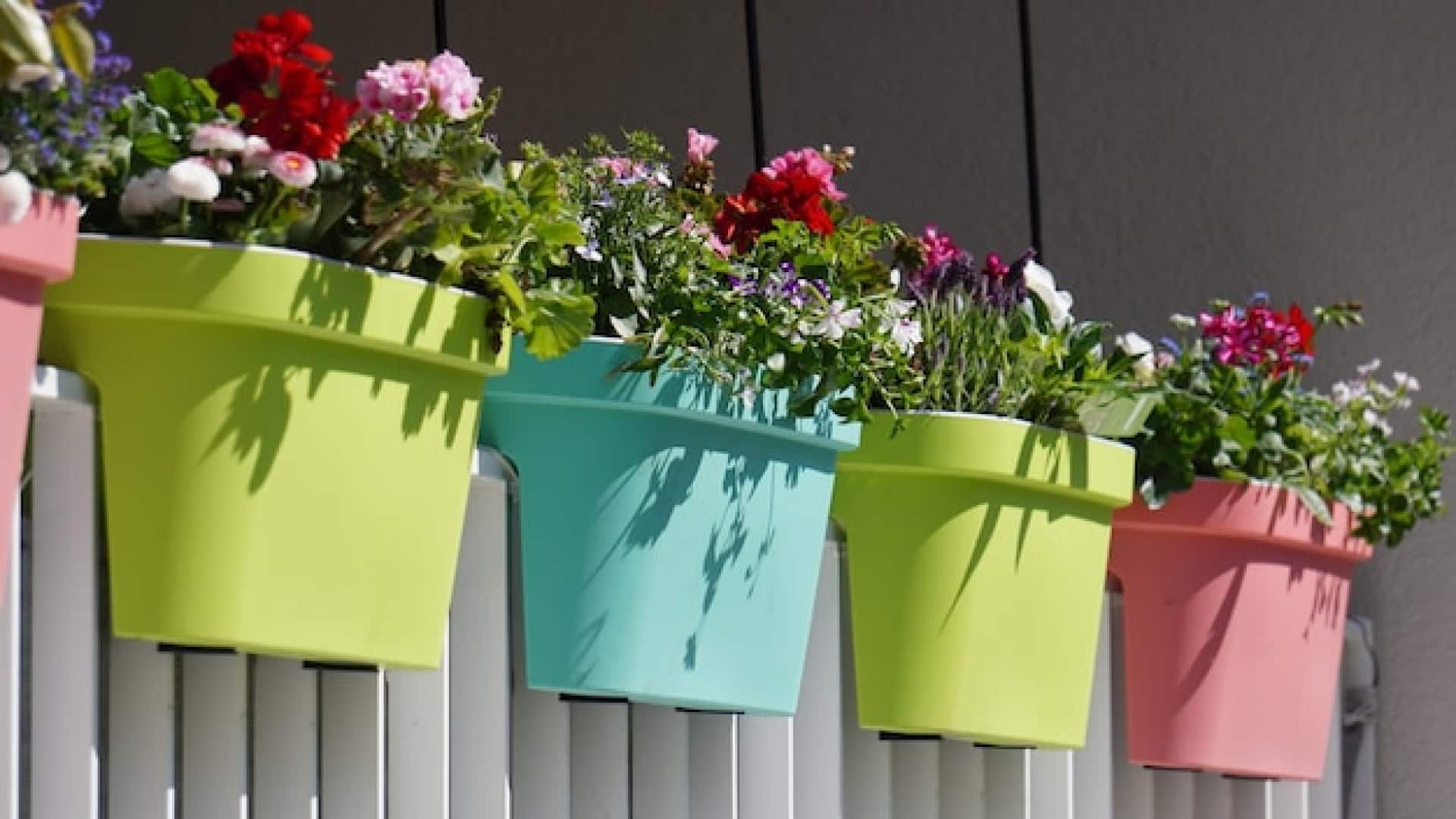Guide pratique : choisir la bonne taille de pot pour votre balcon