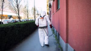Quand et pourquoi faire appel à un expert pour la lutte contre les nuisibles dans votre maison ?