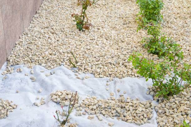 types de géotextiles pour le jardin
